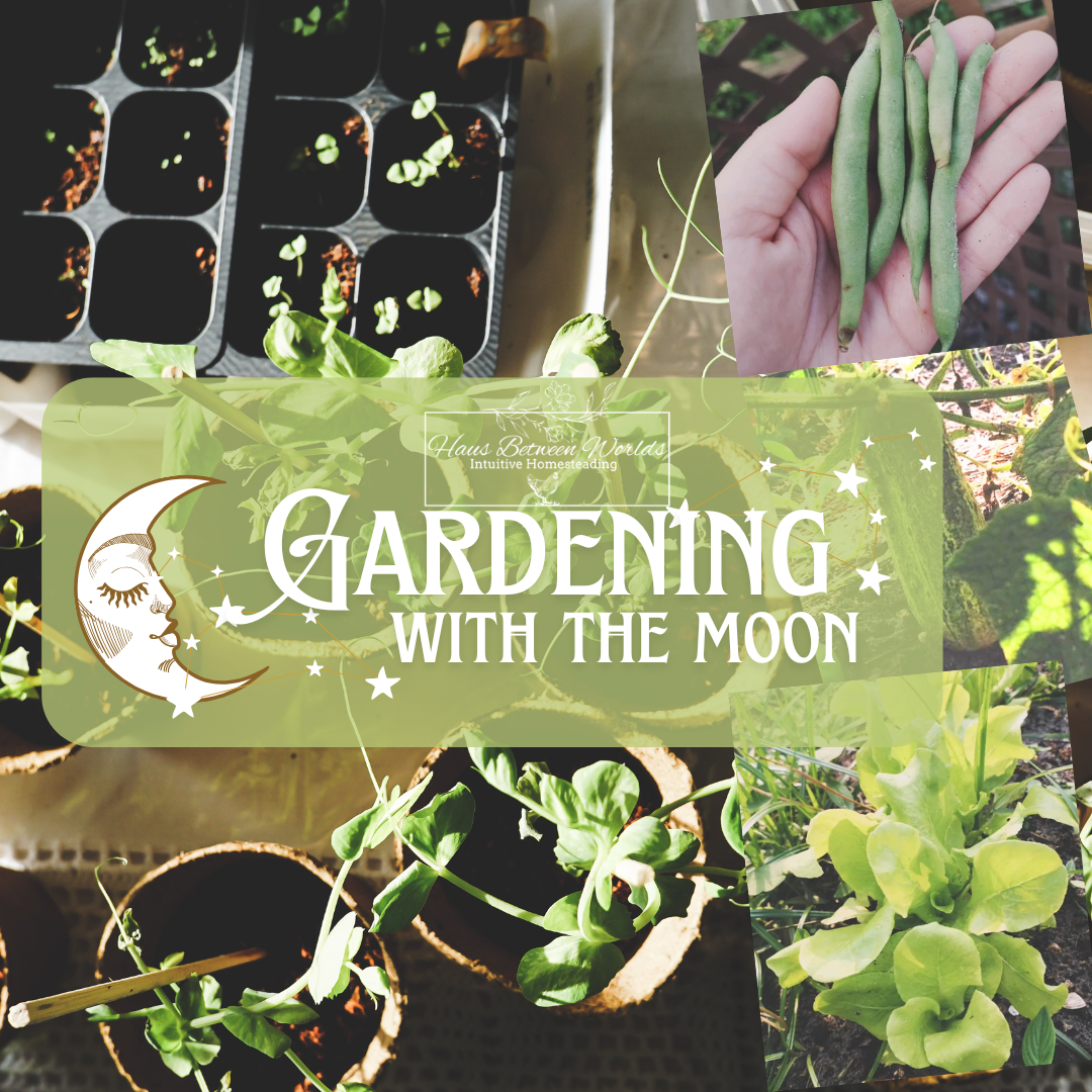 Gardening With The Moon